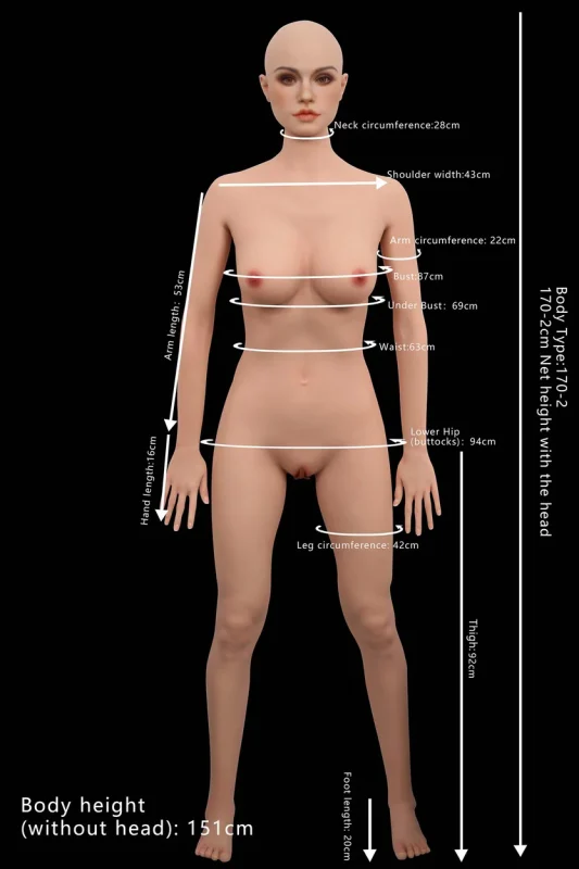 170 2 Top Fire Doll Body Head Measurements 头部身体数据