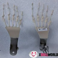Articulated Toes