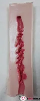 #10(16.5cm)